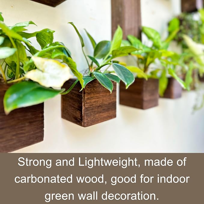 LaLaGreen Wood Planter Boxes for Plants (4x4, 8 Pack) Wooden Wall Planters | Square Wall Mounted Planters for Indoor Plant, Herb Wooden Box Hanging Flower Pot Plant Holder Outdoor Fence Vertical Garden
