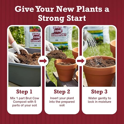 Brut Cow Compost – Nutrient-Rich Composted Cow Manure Organic Soil Amendment – 100% Pure Compost, Additive-Free Fertilizer for Vegetable Gardens, Flowers, Lawns & Indoor Plants – 10 Quart