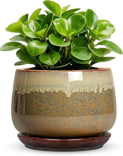 6 Inch Plant Pot - Ceramic Pots for Indoor Plants, Round Small Succulent Planter with Drainage and Saucer, Decorative Flower Pot, Office Room Decor, Gifts for Plant Lovers, Brown-Beige