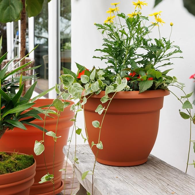 Bloem Ariana 10" Plastic Self-Watering Planter, Terra Cotta, 2-Pack | Self-watering disk at the bottom of each pot that acts as a water wick and reservoir for optimal plant health