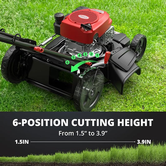 AMERISUN 21-Inch Gas Lawn Mower, 144cc 4-Stroke OHV Engine, 2-in-1 Push Lawn Mower with Mulching & Side Discharge, 6-Position Height Adjustment, 7-Inch Front/10-Inch Rear Wheels