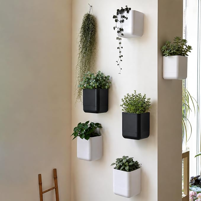 Phoenix Vine 4.5 Inch Wall Mounted Self-Watering Planter Pot for Indoor Houseplants and Herbs | Hanging Planter for Window Sills, Bathroom Walls, Home & Office Décor, White, Set of 4, 01-B-D-4