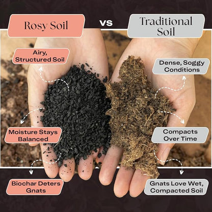 Rosy Soil Cactus & Succulent Potting Mix, 4 Quarts, Pack of 2 | Organic Succulent Potting Soil, Chunky Fast Draining, Peat-Free, Root Boosting Mix, For AloeVera, Cacti, Indoor Succulents