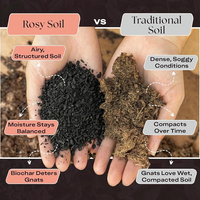 Rosy Soil Cactus & Succulent Potting Mix, 4 Quarts | Organic Succulent Potting Soil, Chunky Fast Draining, Peat-Free, Root Boosting Mix, for AloeVera, Cacti, Indoor Succulents