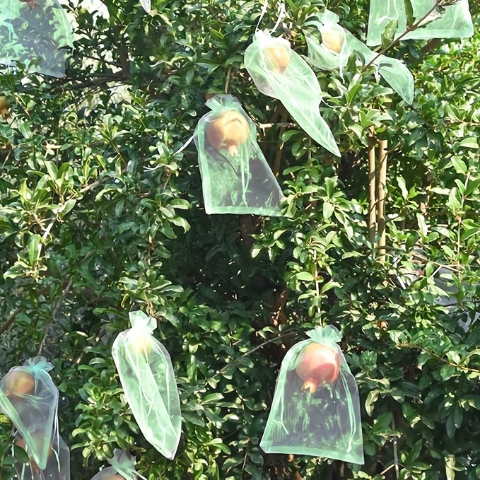 MIXC 100 Pcs Fruit Protection Bags,6''×8''Fruit Netting Bags for Fruit Trees Fruit Cover Mesh Bag with Drawstring Netting Barrier Bags for Plant Fruit Flower, Green