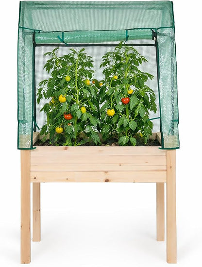 Backyard Expressions 36"x24" Elevated Garden Bed with Greenhouse Cover – Raised Wooden Planter Box with Legs, Mini Outdoor Greenhouse, 66" Tall