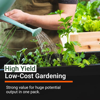 Open Seed Vault |15,000 Heirloom Seeds | 18 Seed Types | Survival Seeds | 2026 Season | Non GMO Vegetable and Fruit Seeds | Planting Outdoor & Indoor Garden