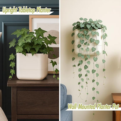 Phoenix Vine 6.5 Inch Wall Mounted Self-Watering Planter Pot for Indoor Houseplants and Herbs | Hanging Planter for Window Sills, Bathroom Walls, Home & Office Décor, Oatmeal, Set of 1, 01-C-G-1