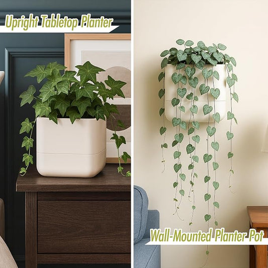 Phoenix Vine 6.5 Inch Wall Mounted Self-Watering Planter Pot for Indoor Houseplants and Herbs | Hanging Planter for Window Sills, Bathroom Walls, Home & Office Décor, Oatmeal, Set of 2, 01-C-G-2