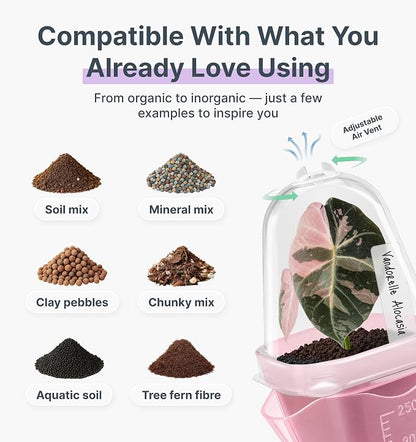 12 Pack 2.5" Small Pink Self Watering Pot with Humidity Dome for Indoor Plant,Clear Seed Starter Cup,Tissue Culture Acclimation Kit,Alocasia Corm Propagation,African Violet,Cutting,Seedling