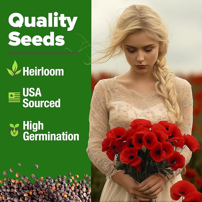 HOME GROWN American Legion Red Poppy Seeds - 6,000 Vibrant Wildflower Seeds for Planting Outdoors - Annual Poppy Flowers - Memorial Garden & Pollinator Friendly (Papaver rhoeas)
