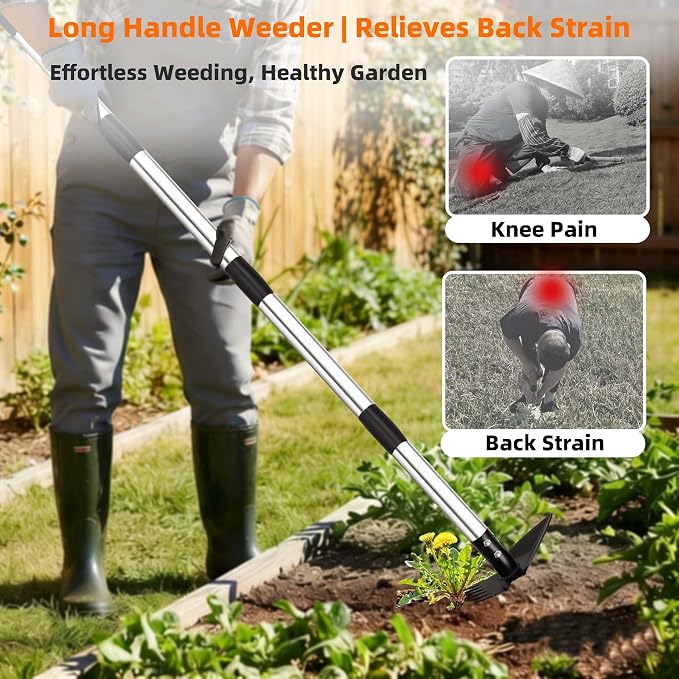 Weed Puller Tool with Long Handle, 62inch Efficient Weed Remover Tool, 2-in-1 Weed Rake and Hoe Garden Tool for Easy Weed Removal & Deeper Root Digging, Manual Weeder Tool for Yard Flower Bed