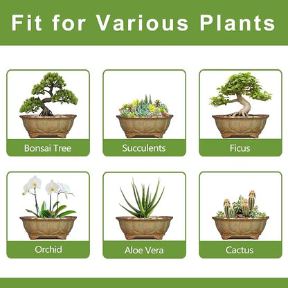 13.2 Inch Bonsai Planter - Ceramic Bonsai Pots with Drainage Hole, Succulent Pots for Indoor Outdoor Plants, Shallow Succulent Planters, Garden Decor, Gifts for Gardeners, Oval Yellowish Brown
