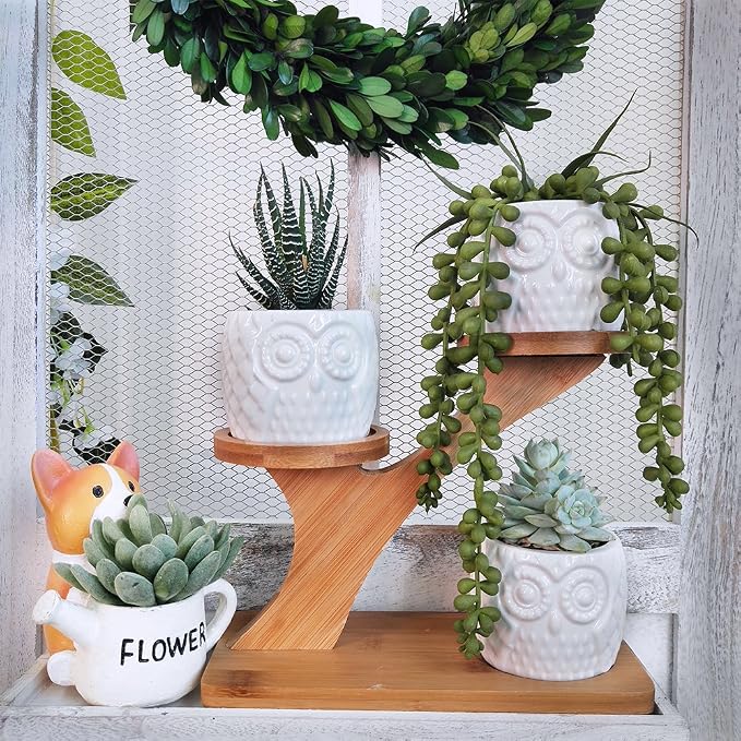 3pcs Owl Succulent Pots with 3 Tier Bamboo Saucers Stand Holder - White Modern Decorative Ceramic Flower Planter with Drainage - Home Office Desk Garden Mini Cactus Plant Pot Indoor Decoration