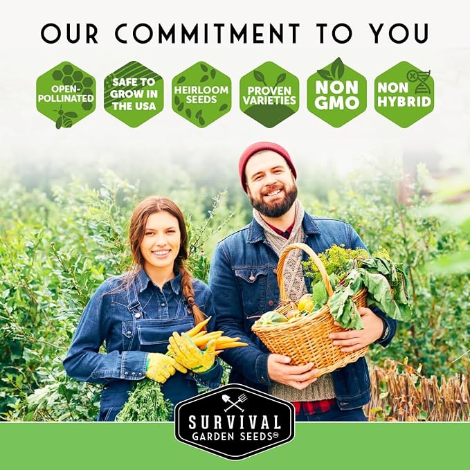 Hydroponic & Indoor Garden Seed Kit – Survival Garden Seeds | 20 Compact Heirloom Vegetable & Herb Varieties - Apartment, Small-Space, Patio & Vertical Tower Growing - Family Garden Gift