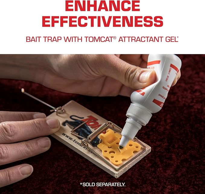 Tomcat Mouse Traps (Wooden), 24 Traps | Disposable Non-Chemical Mouse Trap for Homes, Garages and Basements, 12 Packages Each with 12 Traps