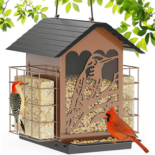 Birdream Bird Feeders for Outdoors, 5 Lbs Metal Bird Feeder with Double Suet Cages, 2 in 1 Mixed Seeds Suet Feeder, Large Capacity & Weatherproof Metal Roof, Attract Cardinals Wildbird Woodpecker