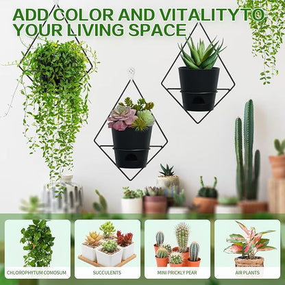 Koalaime 3 Sets Wall Planters for Indoor Plants Geometric Hanging Planters for Indoor Plants - Self-Watering Flower Pots with Black Metal Holder, Mounted Succulent Planter, 5" Black Plant Pot