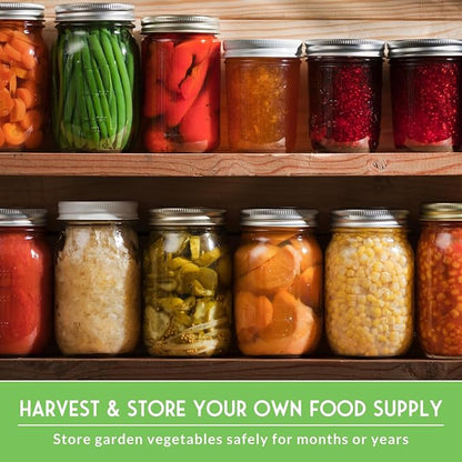 Survival Garden Seeds Home Garden Vegetable Seed 30 Variety Pack | Heirloom Family Seed Vault for Planting Non-GMO Vegetables, Herbs, Fruit – Emergency Preparedness Survival Food Grow Kit