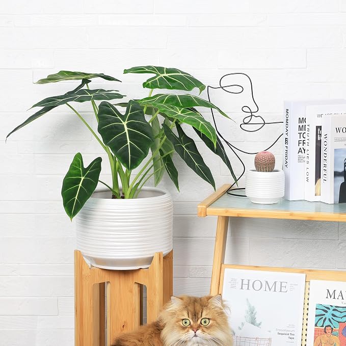 10 Inch Ceramic Plant Pot with Drainage – Large Flower Pot for Indoor Outdoor Plants, Modern Decorative Planter for Patio, Balcony, Garden, or Home Decor