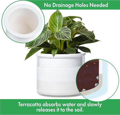 Phoenix Vine 6 Inch 4 Inch Self Watering Planter Pots, Design White Terracotta Pots for Plants, Indoor Cylinder Terra Cotta Pots with Glass Vase Set, 51-B-G-46