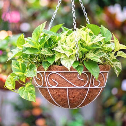 LaLaGreen Hanging Planter For Outdoor (20 Inch, 4 Pack) Extra Large White Metal Wire Hanging Plant Planter with Coco Liner Round Garden Balcony Country Decor Flower Pot Deck Porch Holder Hanger Modern