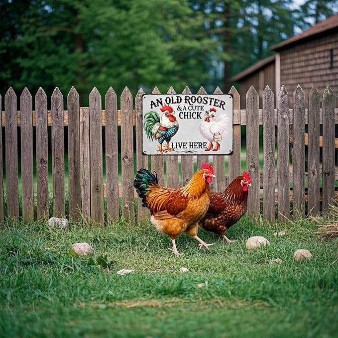 Chicken Lover Gift Idea - Humorous Metal Coop Sign, Farm Animal Tin Art for Home, Kitchen, Garden, 8x12 Inch Vintage Style Decorative Plaque with Holes