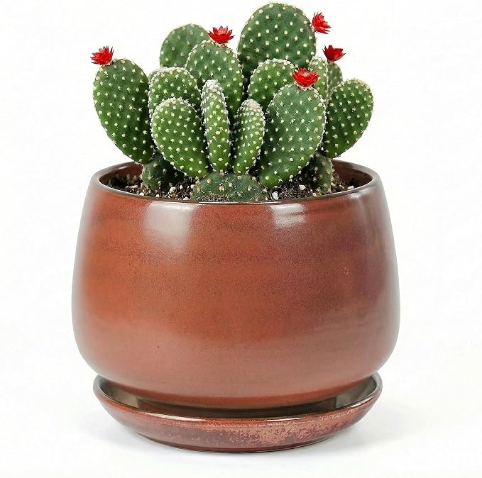 7.5 Inch Flower pots for Indoor Outdoor Plants with Saucer Drainage Leak-Proof Mesh, Ceramic Planter with Gardening Gloves for Succulent and Flower(Iron-red)