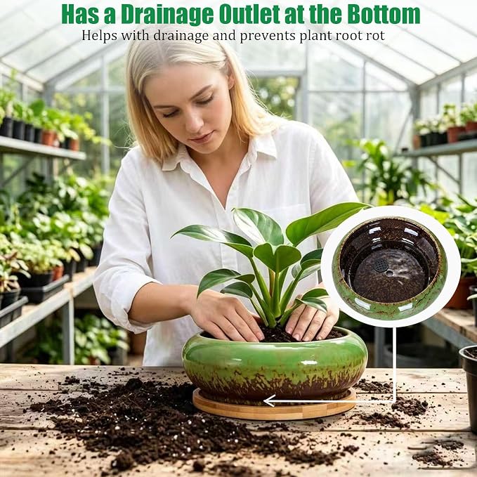 Drzewo Succulent Pots, Succulent Pots with Drainage & Bamboo Tray, 7-Inch Ceramic Drip Glazed Shallow Planter Container Bowl for Indoor Outdoor Plants, Decorative Garden Cactus Flower