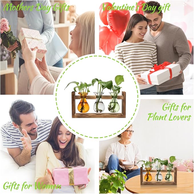 Plant Propagation Station Plant Terrarium Unique Birthday Gifts for Women | Plant Lovers Home Office Decor Planter with Wooden Stand - 3 Bulb Glass Vase