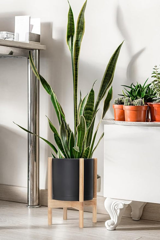 D'vine Dev Plastic Pot with Natural Wood Stand, Black, 10 in, 55-C-M-2 | Mid-Century Inspired Design, Elevated Plant Display, Clean Lines, Sturdy Support, Modern Space-Saving Style