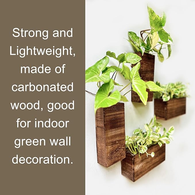 LaLaGreen Wooden Wall Planters (4 Pack) Hanging Wood Planter Box for Plants | Indoor Boxes Plant Holder Vase for Dried Flowers, Modern Table Centerpiece Living Room Bedroom Kitchen Home Office Decor