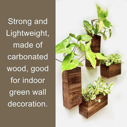 LaLaGreen Wooden Wall Planters (4 Pack) Hanging Wood Planter Box for Plants | Indoor Boxes Plant Holder Vase for Dried Flowers, Modern Table Centerpiece Living Room Bedroom Kitchen Home Office Decor