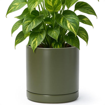 D'vine Dev 8.2 Inch Ceramic Planter Pot with Drainage Hole and Saucer, Indoor Cylinder Round Planter Pot, Olive, 94-O-D-J