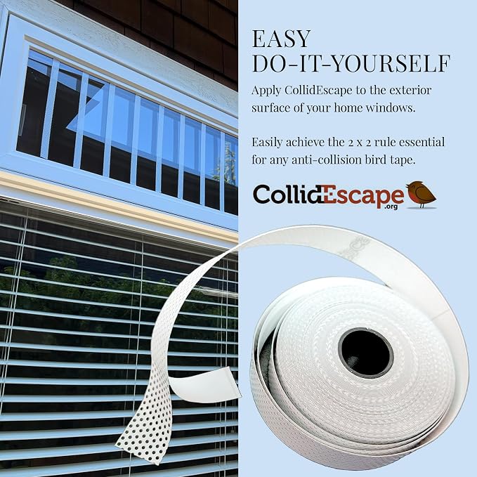 COLLIDESCAPE Spiderweb Clear BirdTape for Windows (3/4" x 20' - Covers 1 to 2 panes) | Bird Tape Decals to Prevent Bird Strike Prevention for Glass | Clear