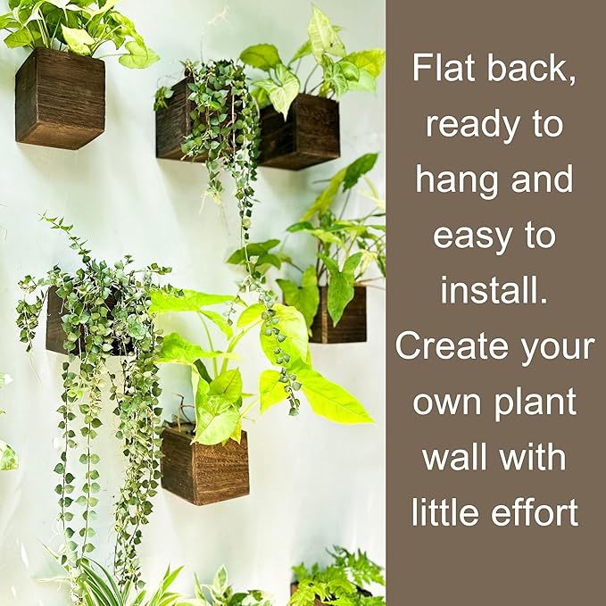 LaLaGreen Planter Boxes for Indoor Plant (4x4, 6 Pack) Wooden Wall Planters | Wall Mounted Planters Flower Pot, Herb Wooden Box Hanging Plant Holder Outdoor Balcony Vertical Garden Modern Home Decor