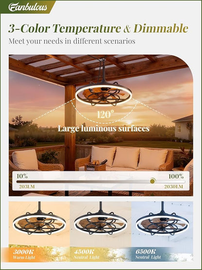 Fanbulous Outdoor Ceiling Fans with Light for Patios, 24" Weatherproof Plug in Ceiling Fan, Gazebo Fan Remote&APP Control, 3CCT Dimmable, Caged Ceiling Fan with Hanging Hook for Porch, Pergola, Canopy