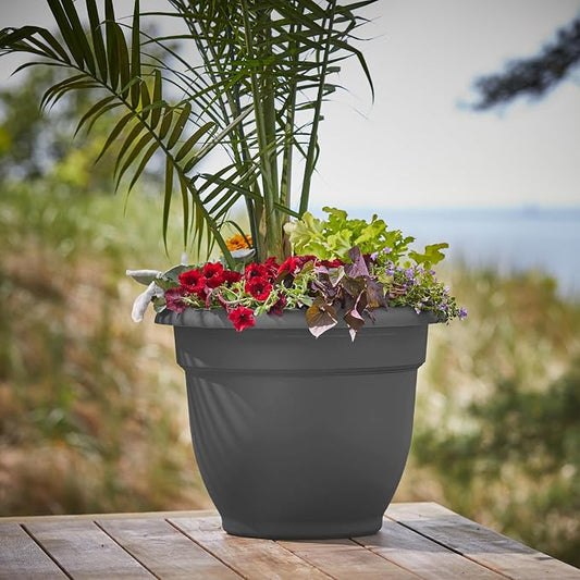 Bloem Ariana 16" Plastic Self-Watering Planter, Charcoal, 2-Pack | Self-watering disk at the bottom of each pot that acts as a water wick and reservoir for optimal plant health