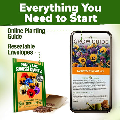 HOME GROWN Pansy Swiss Giants Mix - 1,500 Flower Seeds (2.13g) - Fall Planting Pansies Seed - Edible Viola Seeds - Cold Hardy Annuals for Containers & Outdoor Gardens (Viola × wittrockiana)