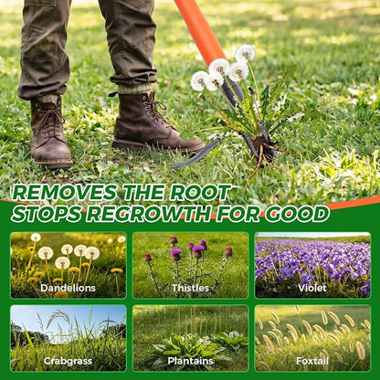 Stand Up Weed Puller Tool, 4-Claw Steel Head Deep Root Extractor with Dual-Eject Design, Real Bamboo Long Handle & Metal Anti-Slip Pedal, No Bending Dandelion Remover for Garden Lawn Yard
