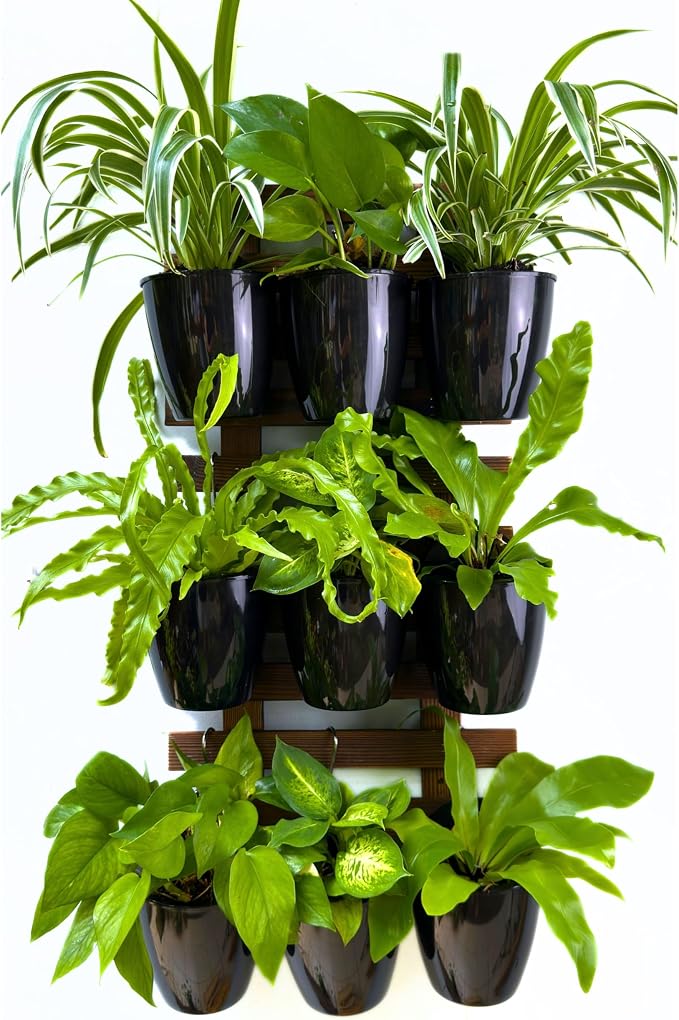 LaLaGreen Wall Planters for Indoor Plants (5in, 10 Pack) Small Planter | Black Self Watering Pots Modern Indoor Hydroponic Vertical Live Garden Wall Mounted Hanging Plant Holder
