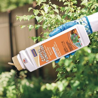 Bonide Copper Fungicide, 1 lb. Ready-to-Use Spray or Dust for Organic Gardening, Controls Common Diseases in Lawn & Garden