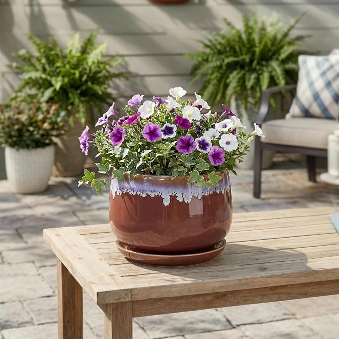 9 Inch Ceramic Planter - Indoor Planters with Drainage and Saucer, Decorative Flower Pot for Indoor Plants, Round Large Plant Pots, Office Patio House Decor, House Warming Gifts, Red-Purple