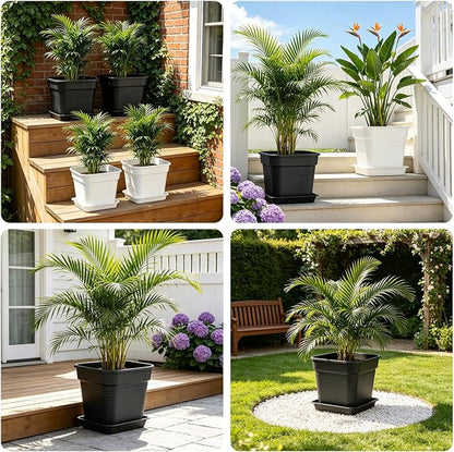 BTPLASTIK 10 Inch Square Planters with Saucers 5 Pack, Heavy Duty Black Plant Pots, Air Pruning & Super Ventilation, Anti-Crack Garden Pots for Indoor Outdoor Orchids Vegetables Trees