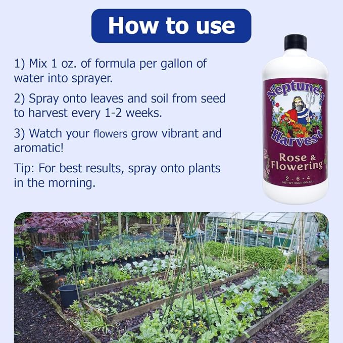 Neptune's Harvest Rose & Flowering Fertilizer (2-6-4) - 36oz Bottle - Organic Liquid Food for Vibrant Blooms & Growth - Promotes Healthy Foliage - Ideal Fertilizer for Indoor & Outdoor Use