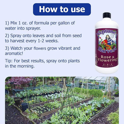 Neptune's Harvest Rose & Flowering Fertilizer (2-6-4) - 36oz Bottle - Organic Liquid Food for Vibrant Blooms & Growth - Promotes Healthy Foliage - Ideal Fertilizer for Indoor & Outdoor Use