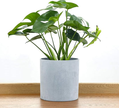 FaithLand 10 Inch Fiberstone Planter - Lightweight Modern Cylinder Plant Pot with Drainage Hole & Plug, Authentic Concrete Look, Gray