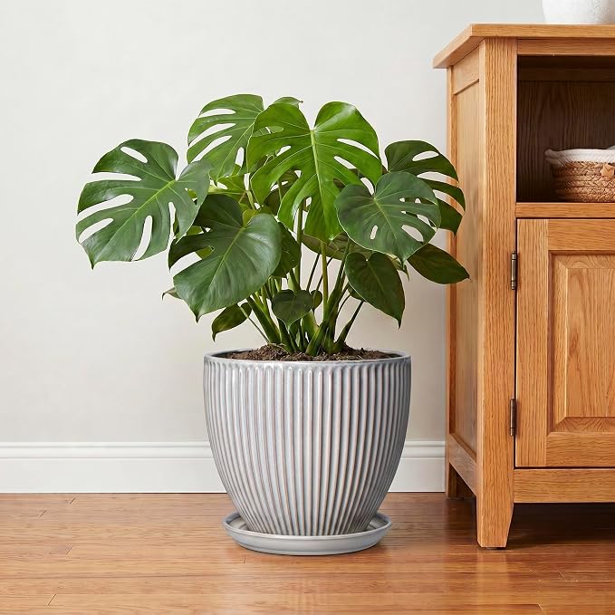10 Inch Pots for Plants Indoor, Ceramic Planters with Drainage Hole and Saucer, Round Large Plant Pots for House Plants, Decorative Flower Planter, Porch Decor, Plant Lover Gifts, Grey