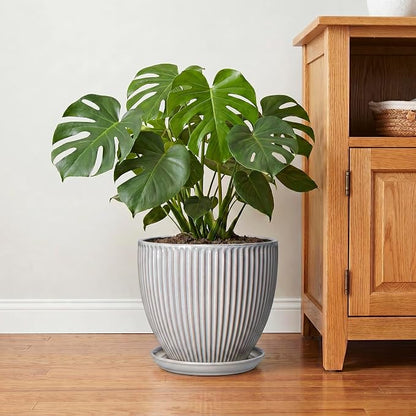 10 Inch Pots for Plants Indoor, Ceramic Planters with Drainage Hole and Saucer, Round Large Plant Pots for House Plants, Decorative Flower Planter, Porch Decor, Plant Lover Gifts, Grey