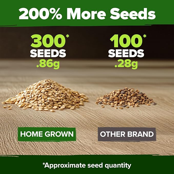 HOME GROWN Beefsteak Tomato Seeds 300+ Heirloom Non-GMO Seeds for Planting, High Germination, Indeterminate, Large Meaty Slicing Tomato, High Yield Summer Vegetable Garden (Solanum lycopersicum)